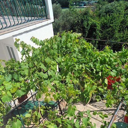 Apartment Jo Dubrovnik Eksteriør billede