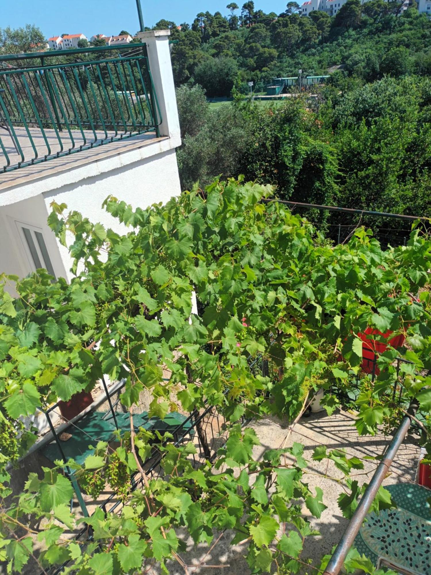 Apartment Jo Dubrovnik Eksteriør billede
